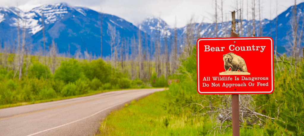 Bear Country sign by a mountain road