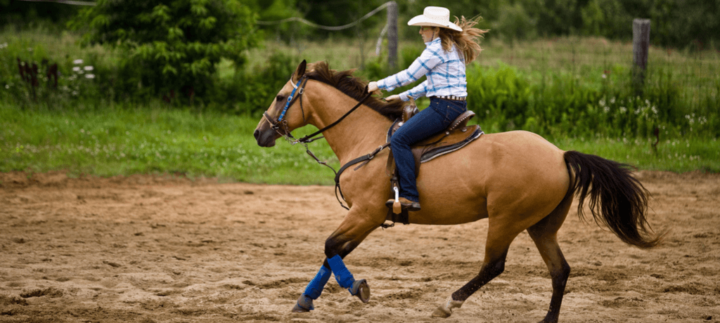 Cowgirl on a Dude Ranch