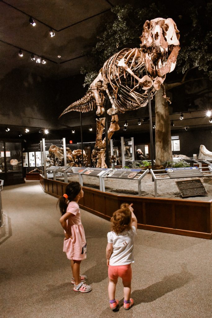 Kids staring at the bones of a Tyrannosaurus Rex at the Museum of the Rockies in Bozeman, Montana