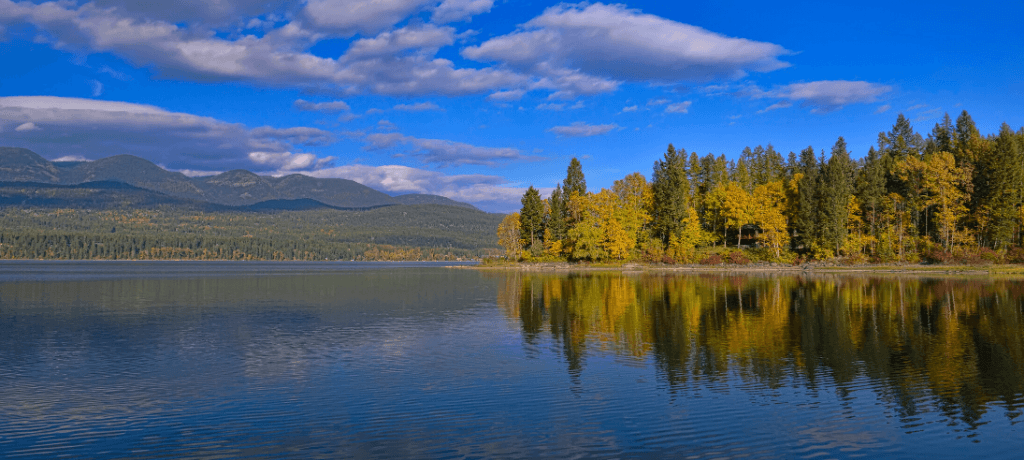 Whitefish Lake framed by pine trees and a blue sky in Whitefish, Montana