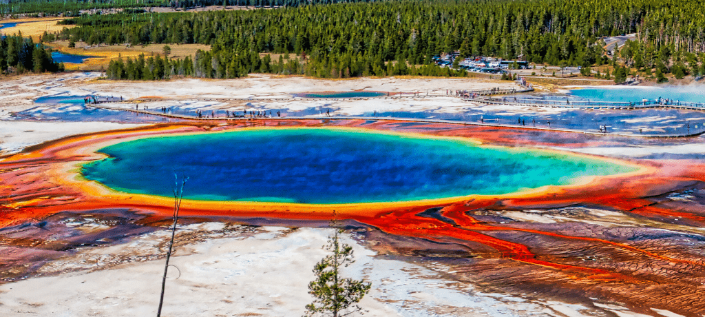 The rainbow hued Grand Prismatic Spring in Yellowstone National Park