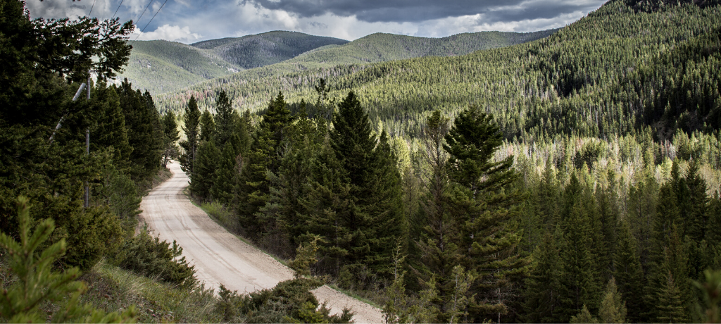 Lewis and Clark National Forest in West Central Montana