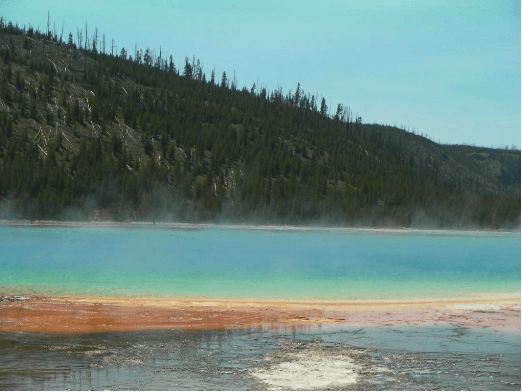 Norris Geyser Basin in Yellowstone National Park