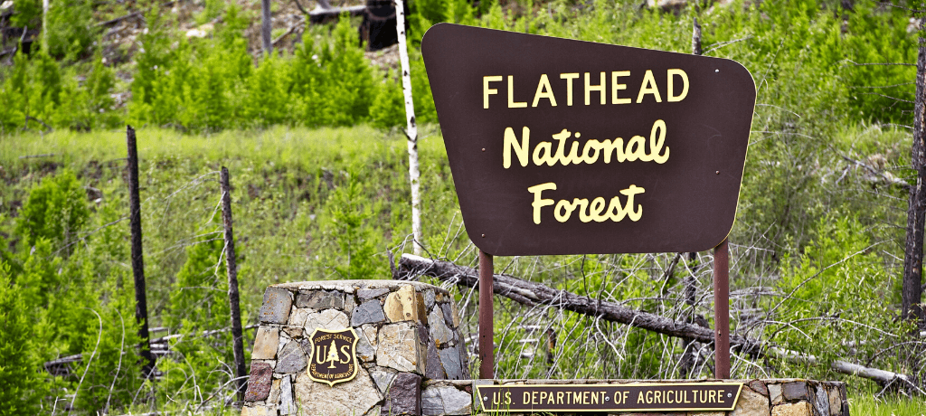 Flathead National Forest sign in Montana