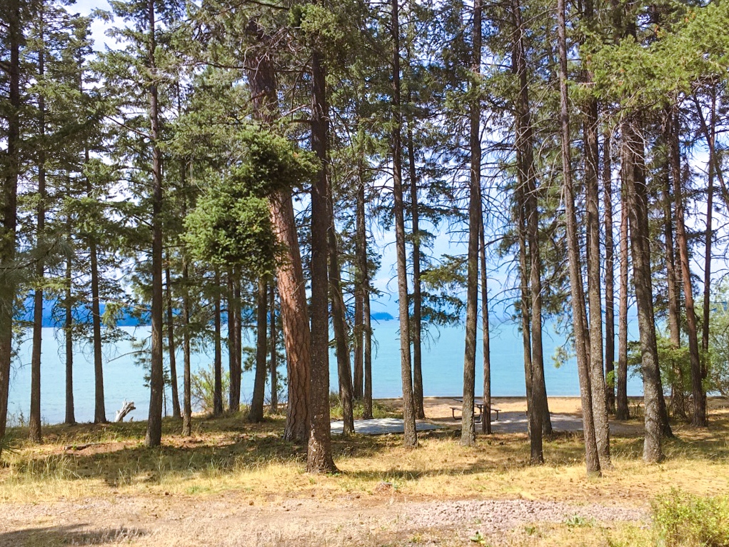 Finley Park Campground by Flathead Lake in Montana
