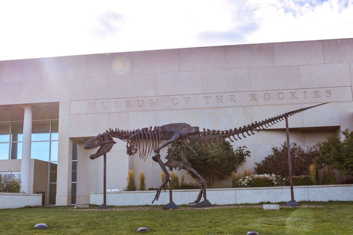 Museum of the Rockies A Montana Dinosaur Museum You Can't Miss