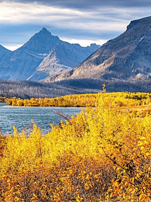The Best Things to Do in the Fall in Montana Story