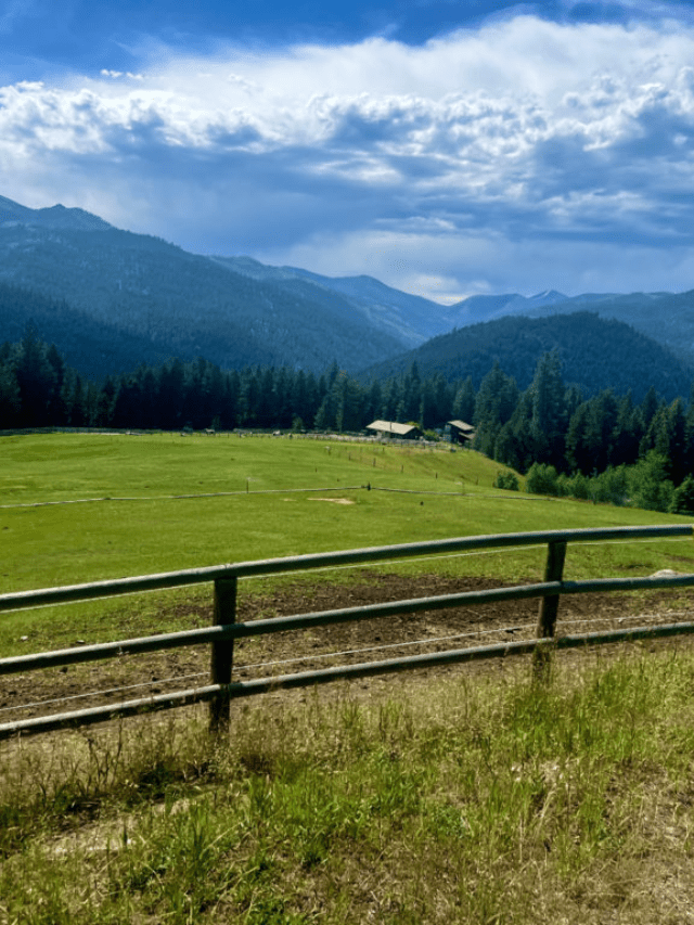 Triple Creek Ranch, Montana Review Story
