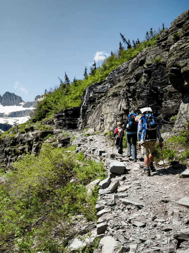 Best Hikes in Montana for Every Level Story